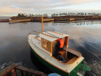 �������-21