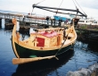 Viking Boat skold-45