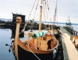 Viking Boat skold-45