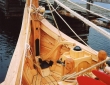 Viking Boat skold-45